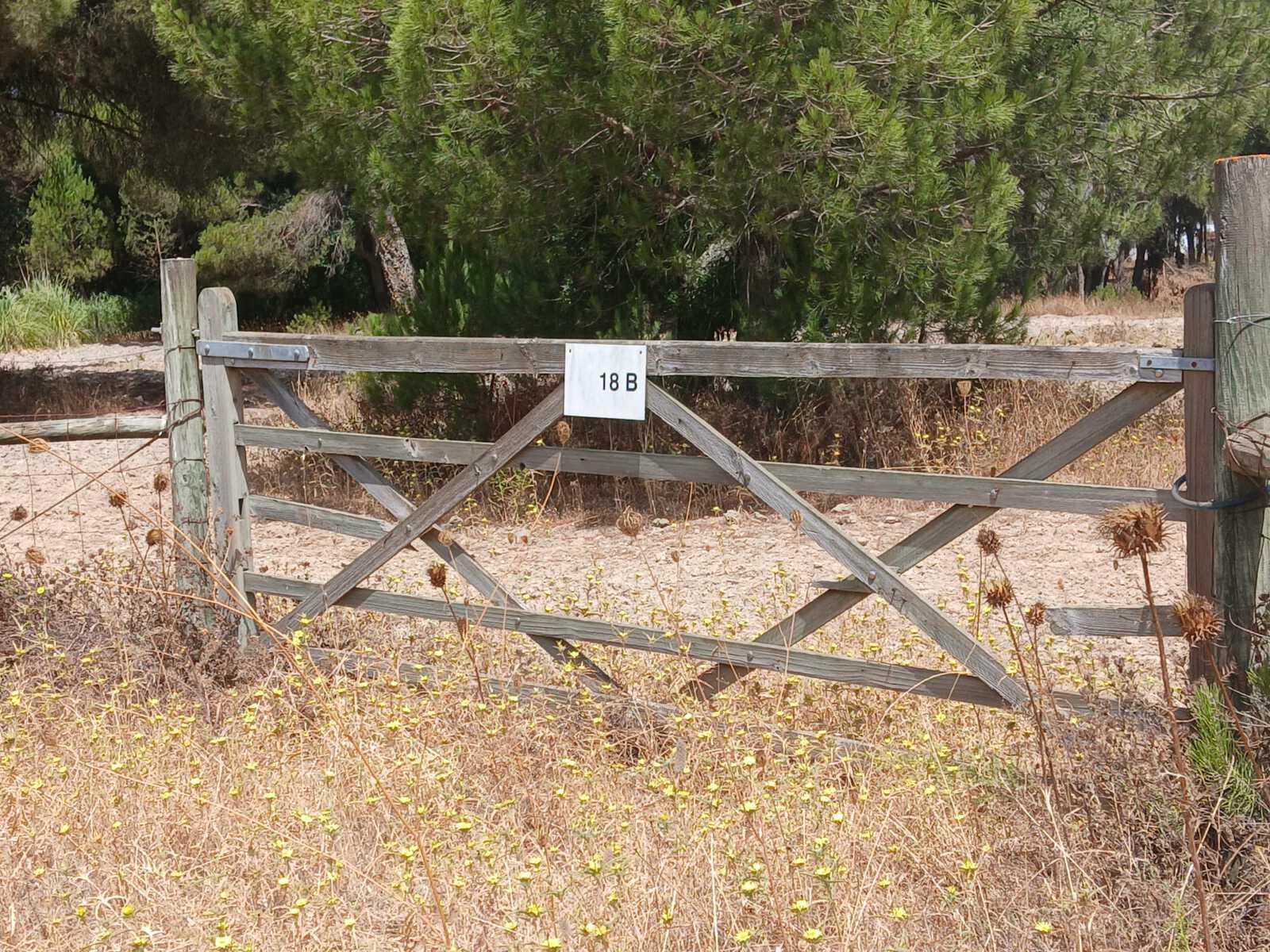 Terreno 2.6 ha, Santo Estevão, Benavente - Imagem 1