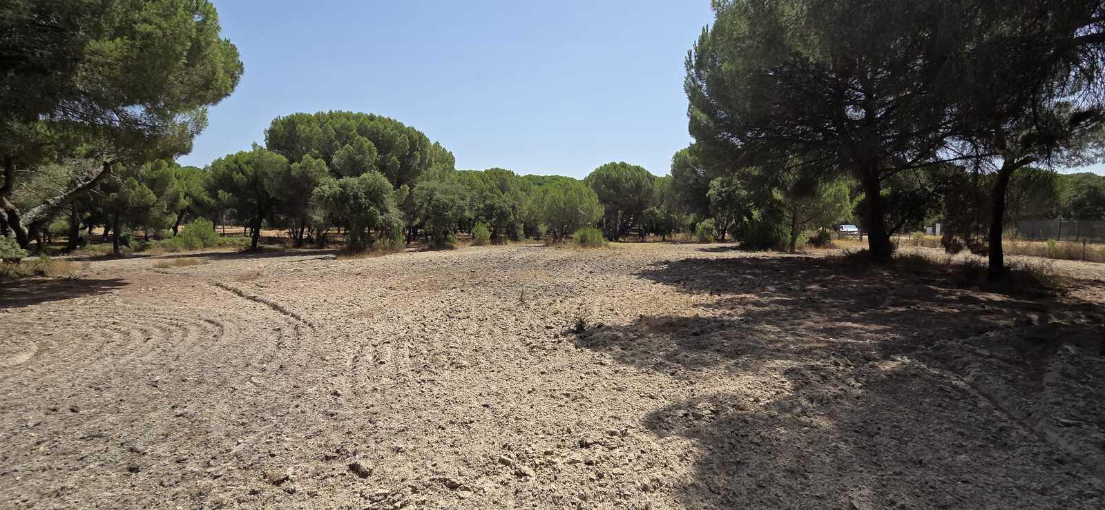Terreno 2.6 ha, Santo Estevão, Benavente - Imagem 4