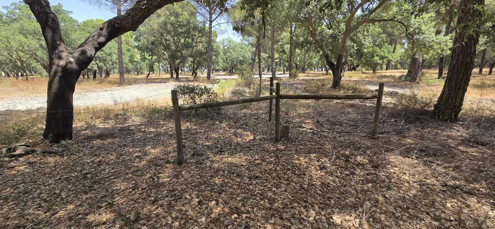 Terreno 2.6 ha, Santo Estevão, Benavente - Imagem 10