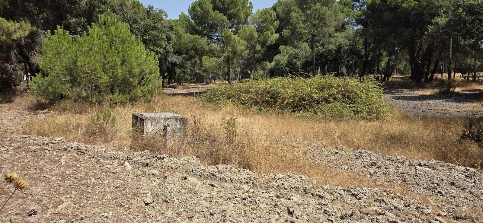 Terreno 2.6 ha, Santo Estevão, Benavente - Imagem 14