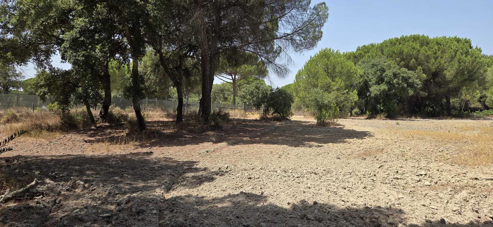 Terreno 2.6 ha, Santo Estevão, Benavente - Imagem 15
