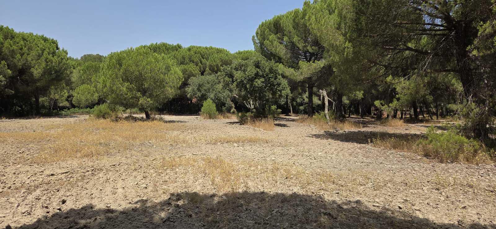 Terreno 2.6 ha, Santo Estevão, Benavente - Imagem 16
