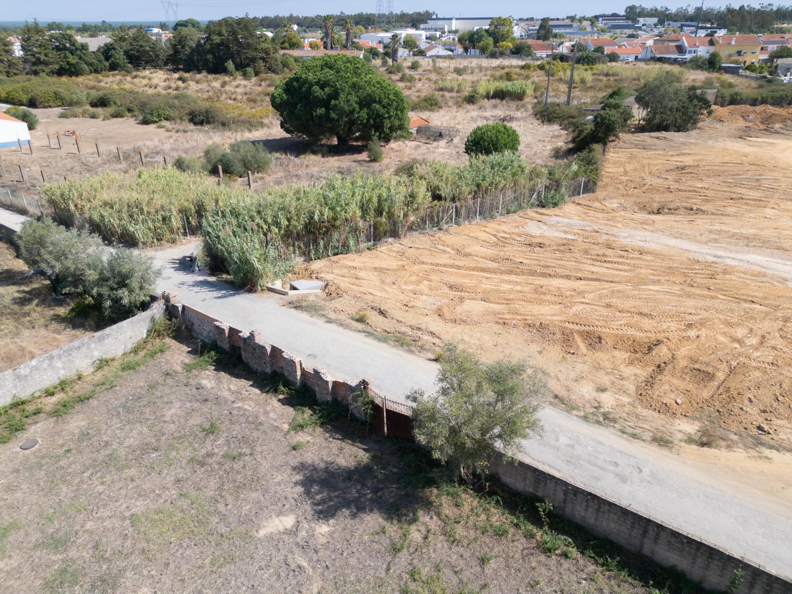 Lote 244 m2, Grandola - Imagem 7