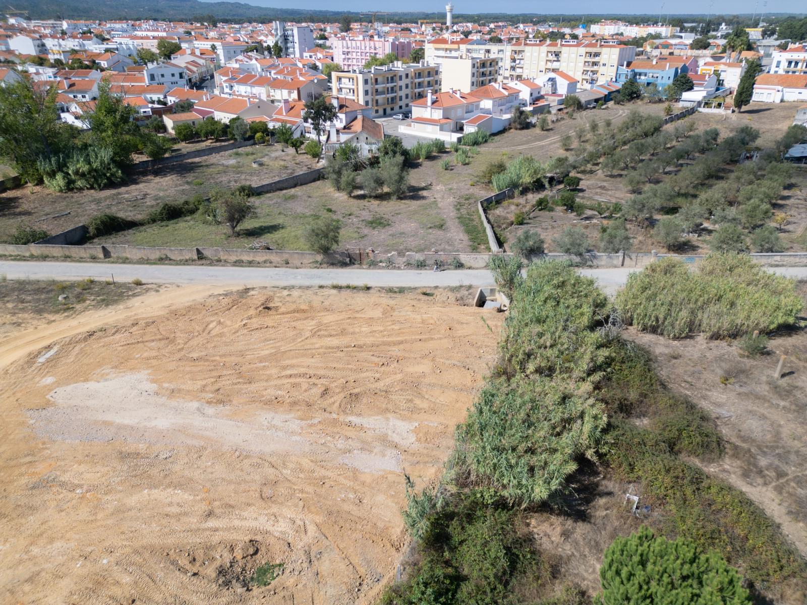 Lote 244 m2, Grandola - Imagem 10