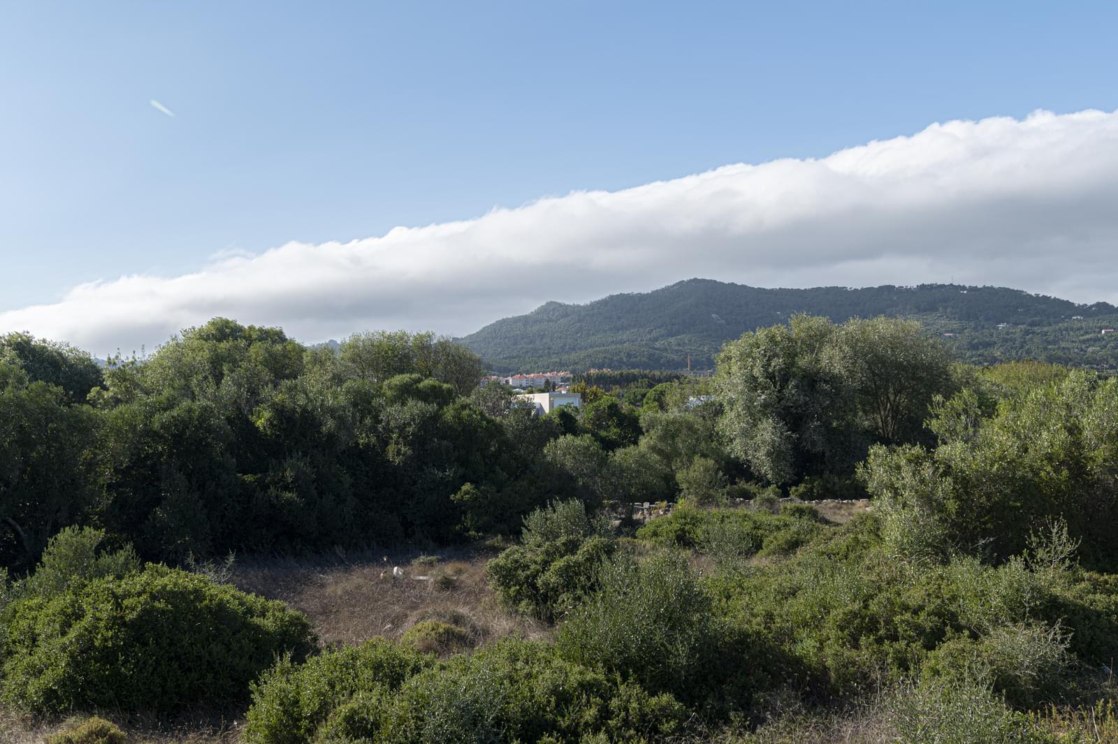 Moradia Isolada T4 com jardim, Abrunheira, Sintra - Imagem 6