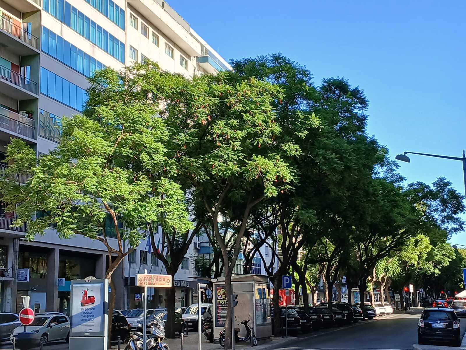 Apartamento T3 com vista, Avenidas Novas, Lisboa - Imagem 9