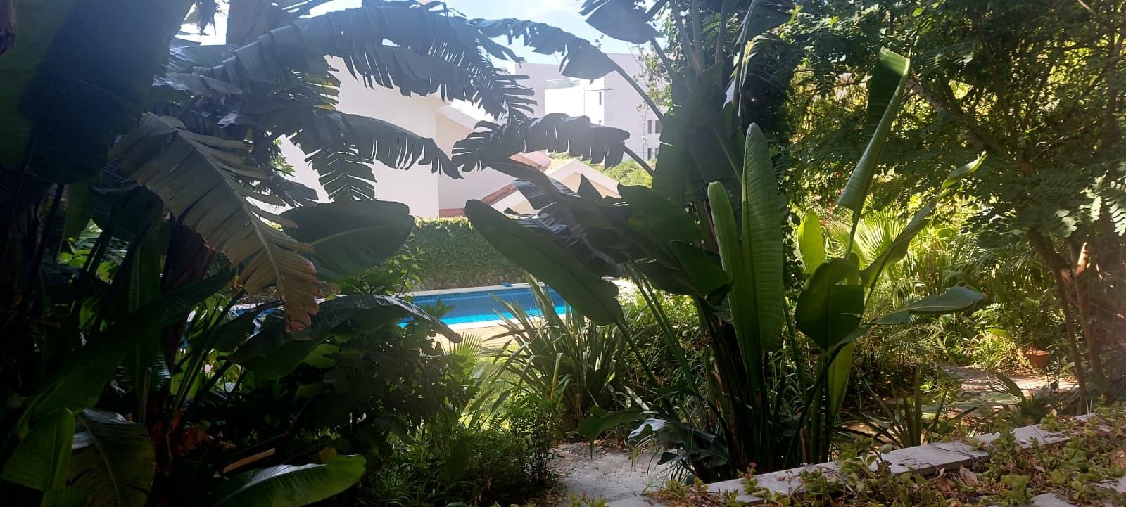 Moradia T5 com piscina, Cascais - Imagem 21