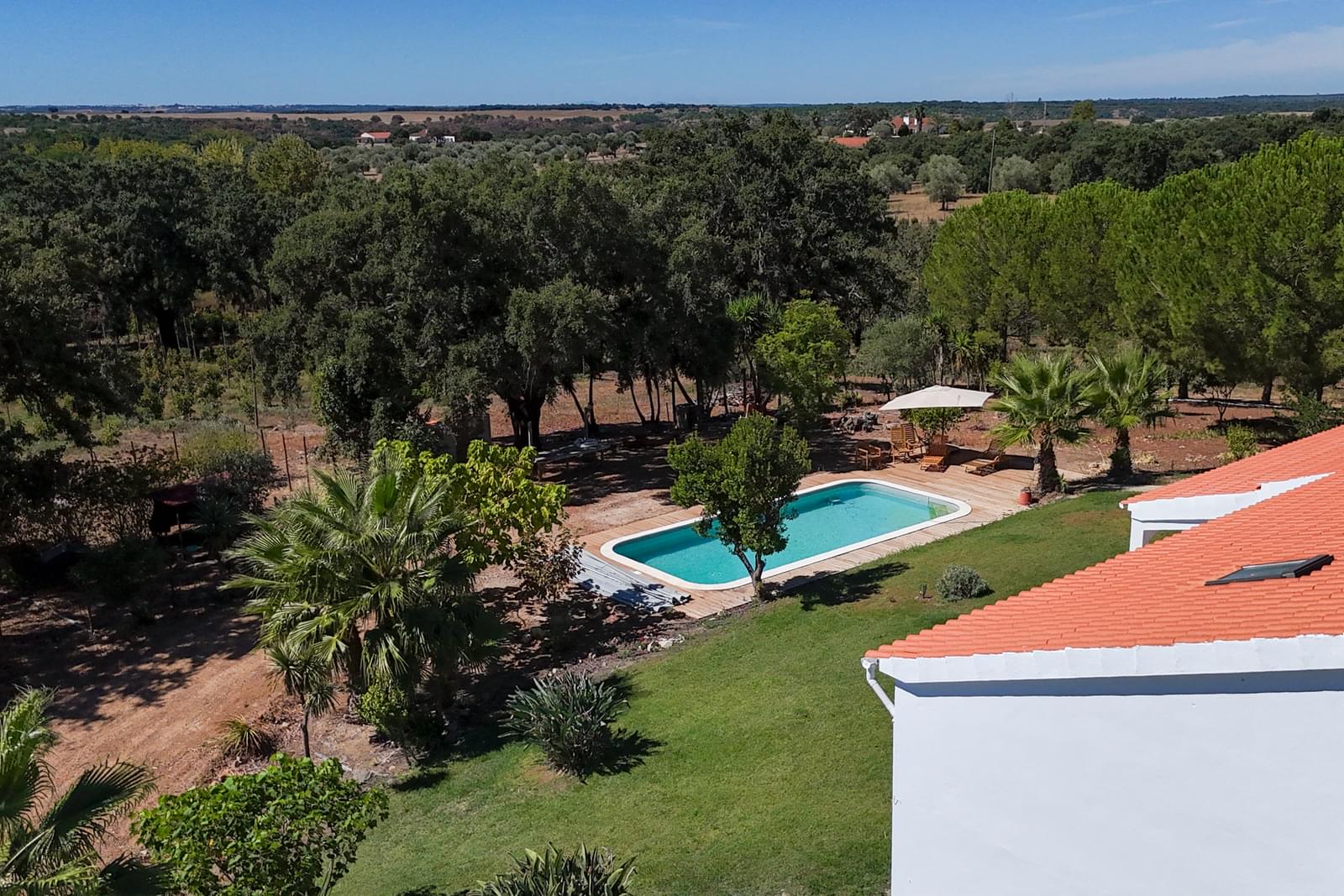 Quinta 9.6 ha, Foros de Vale Figueira, Montemor-o-Novo - Imagem 3
