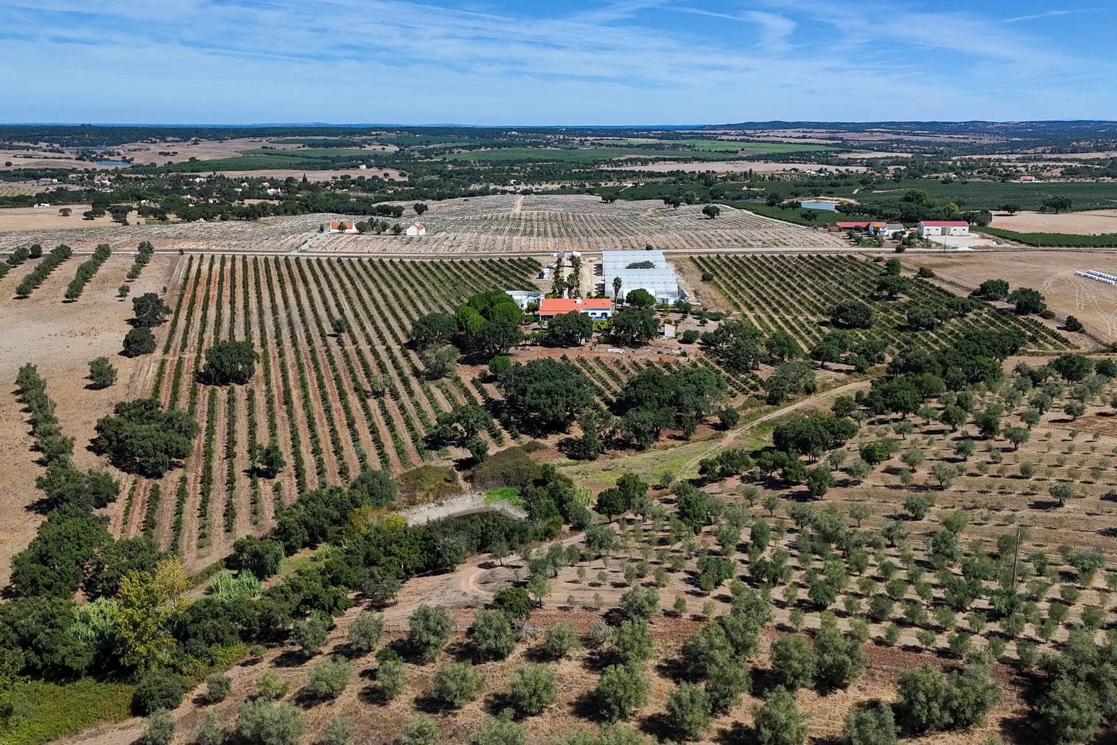 Quinta 9.6 ha, Foros de Vale Figueira, Montemor-o-Novo - Imagem 34