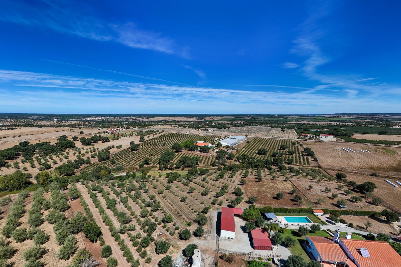 Quinta 9.6 ha, Foros de Vale Figueira, Montemor-o-Novo - Imagem 35