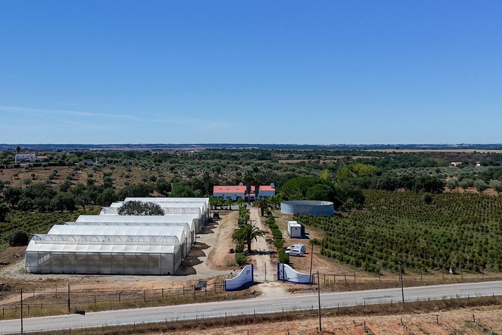 Quinta 9.6 ha, Foros de Vale Figueira, Montemor-o-Novo - Imagem 36