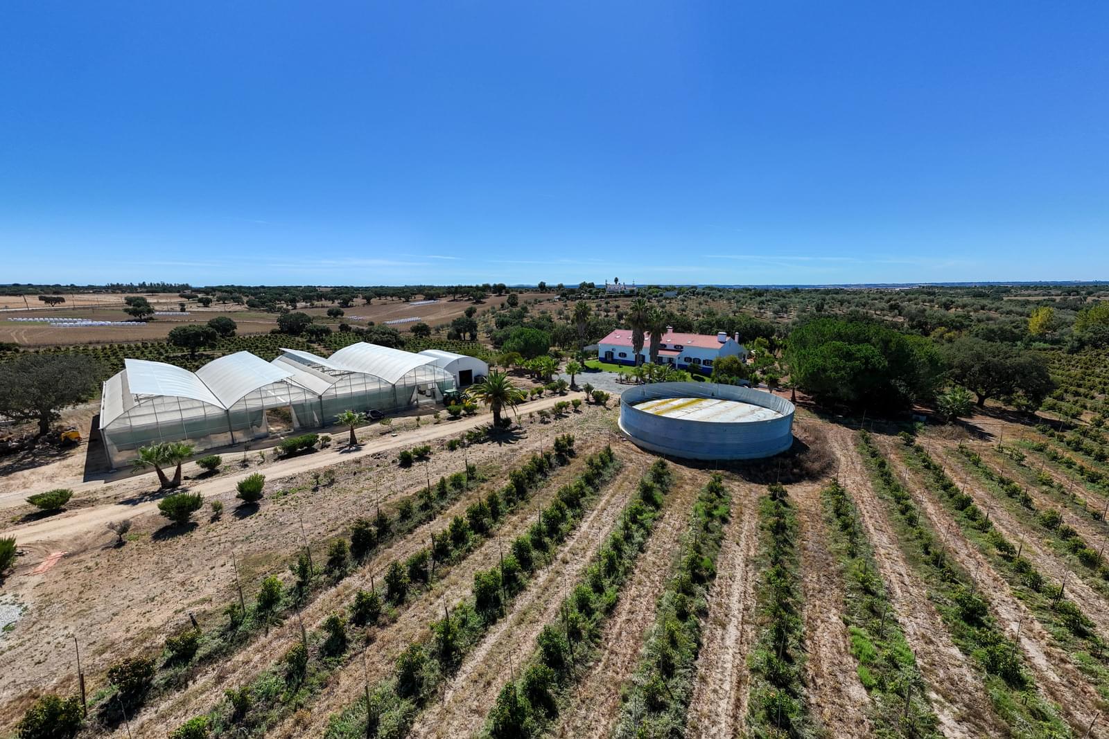 Quinta 9.6 ha, Foros de Vale Figueira, Montemor-o-Novo - Imagem 37