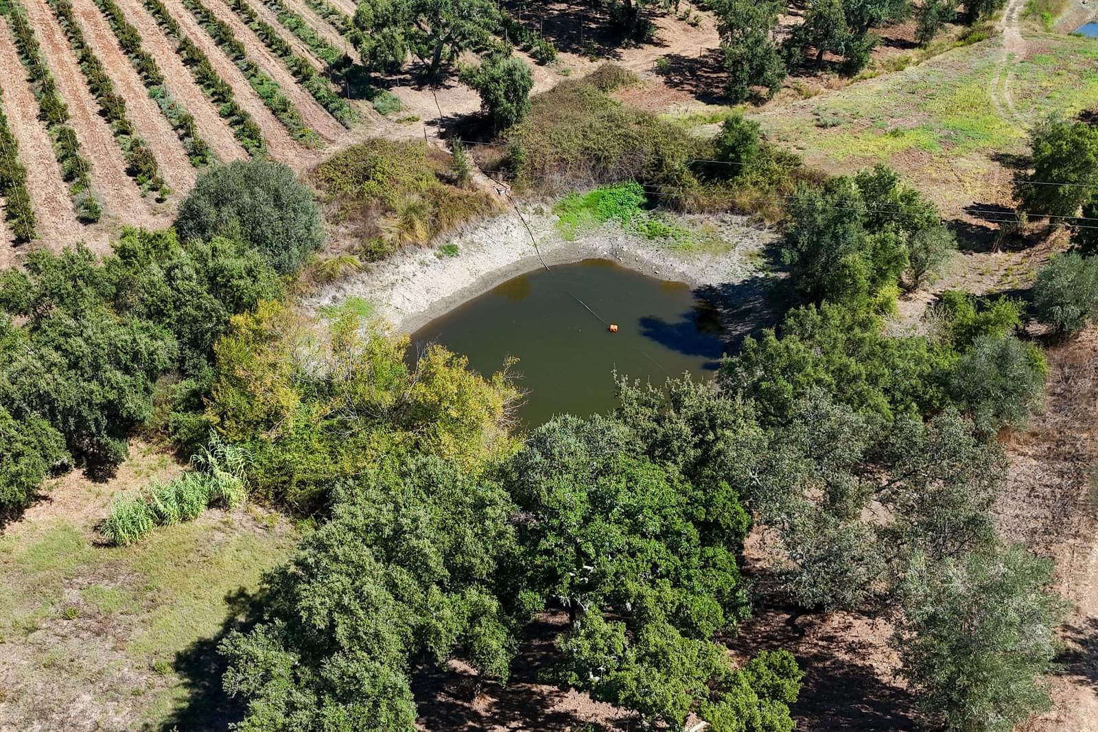 Quinta 9.6 ha, Foros de Vale Figueira, Montemor-o-Novo - Imagem 38