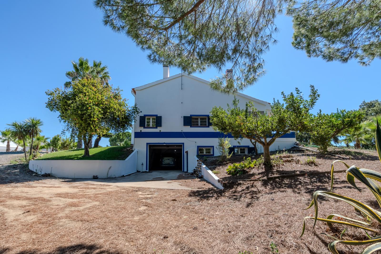 Quinta 9.6 ha, Foros de Vale Figueira, Montemor-o-Novo - Imagem 28