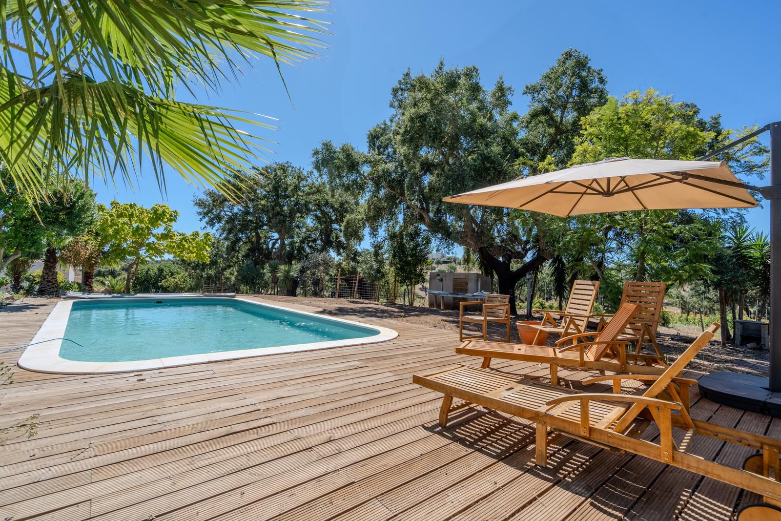 Quinta 9.6 ha, Foros de Vale Figueira, Montemor-o-Novo - Imagem 2