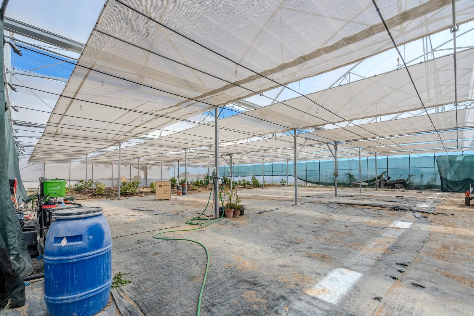 Quinta 9.6 ha, Foros de Vale Figueira, Montemor-o-Novo - Imagem 42