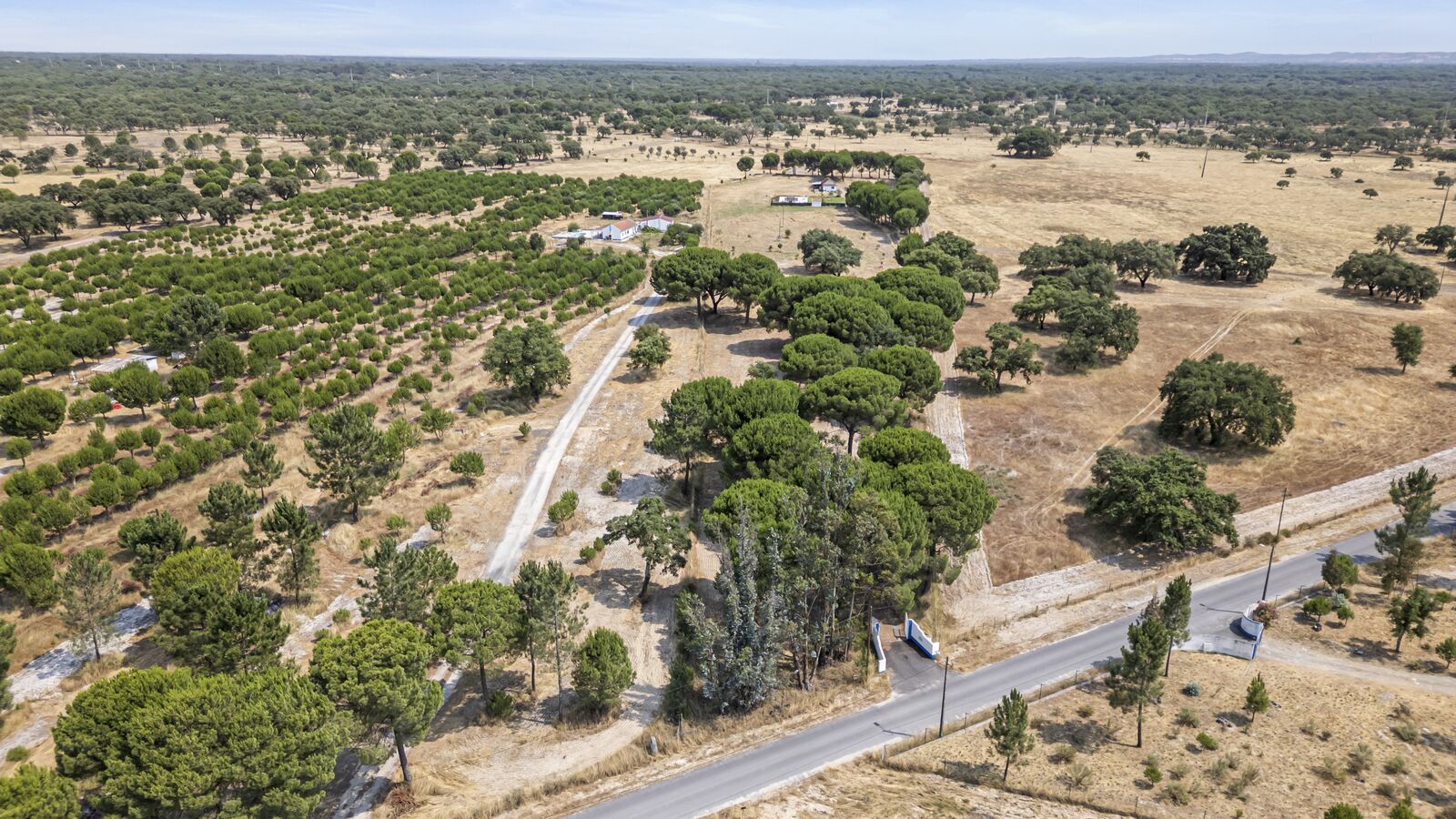 Quintinha 2.2 ha, Grandola - Imagem 35