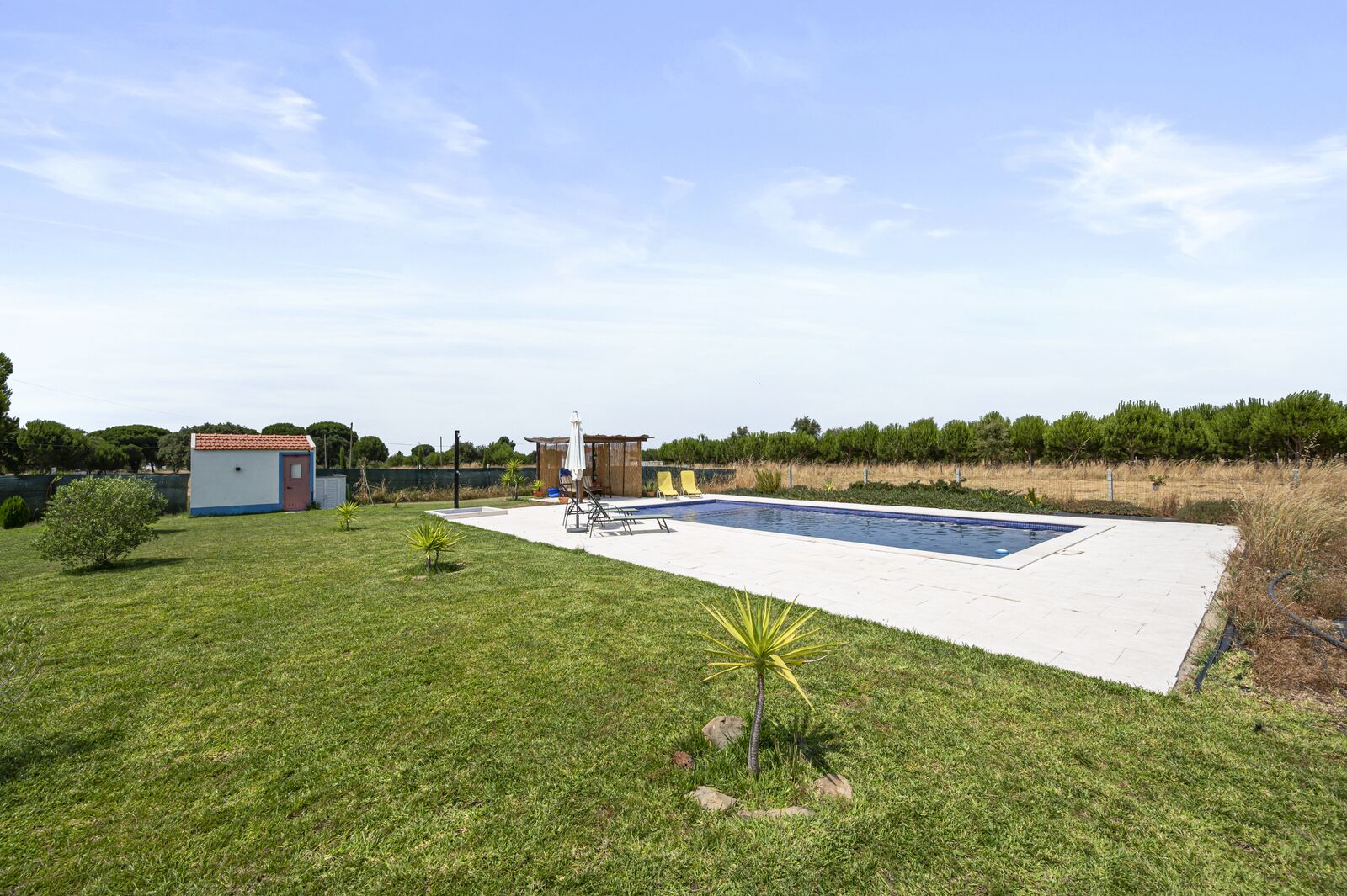 Quintinha 2.2 ha, Grandola - Imagem 29
