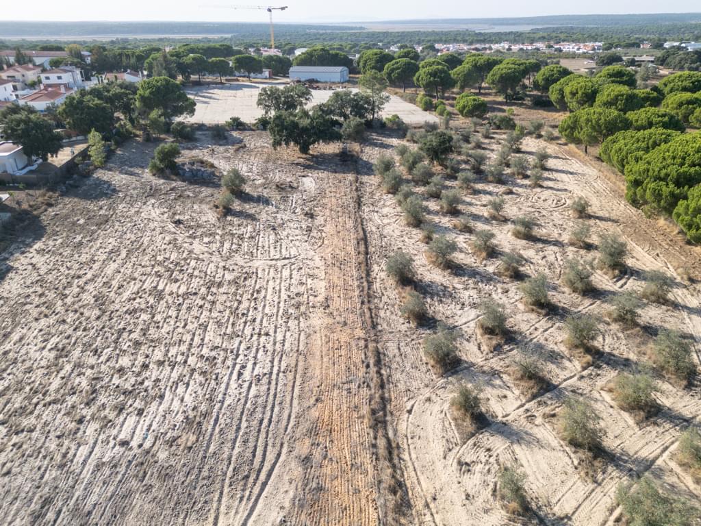 Mixed land 1.5 ha, Alcácer do Sal, Alcacer do Sal 2450845045