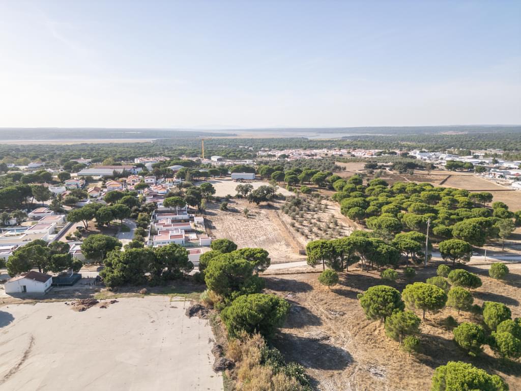 Mixed land 1.5 ha, Alcácer do Sal, Alcacer do Sal 2450845045