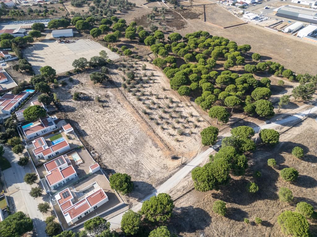 Mixed land 1.5 ha, Alcácer do Sal, Alcacer do Sal 2450845045