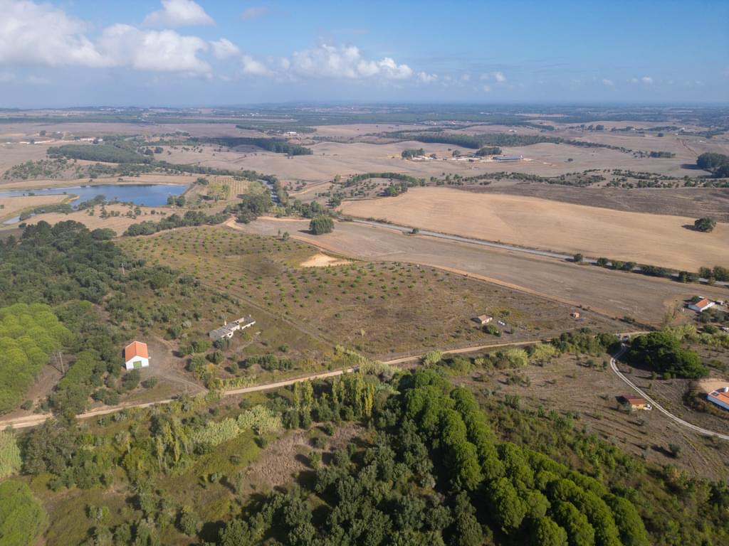 Mixed land 5.2 ha, Cercal do Alentejo, Santiago do Cacem 2398631172