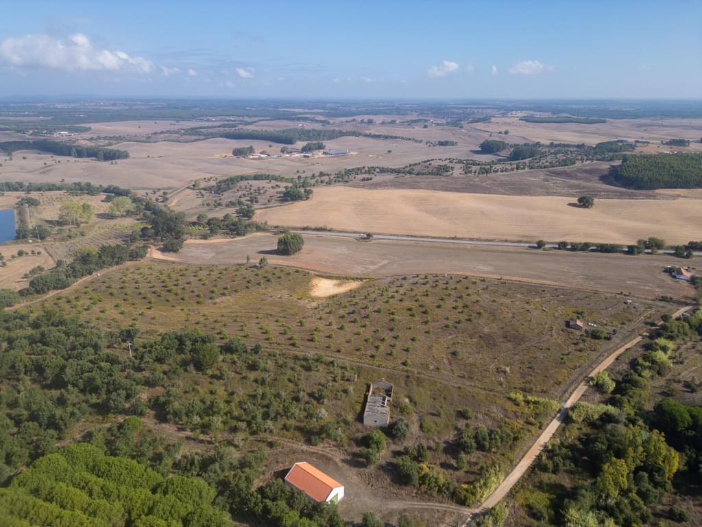Mixed land 5.2 ha, Cercal do Alentejo, Santiago do Cacem 2398631172