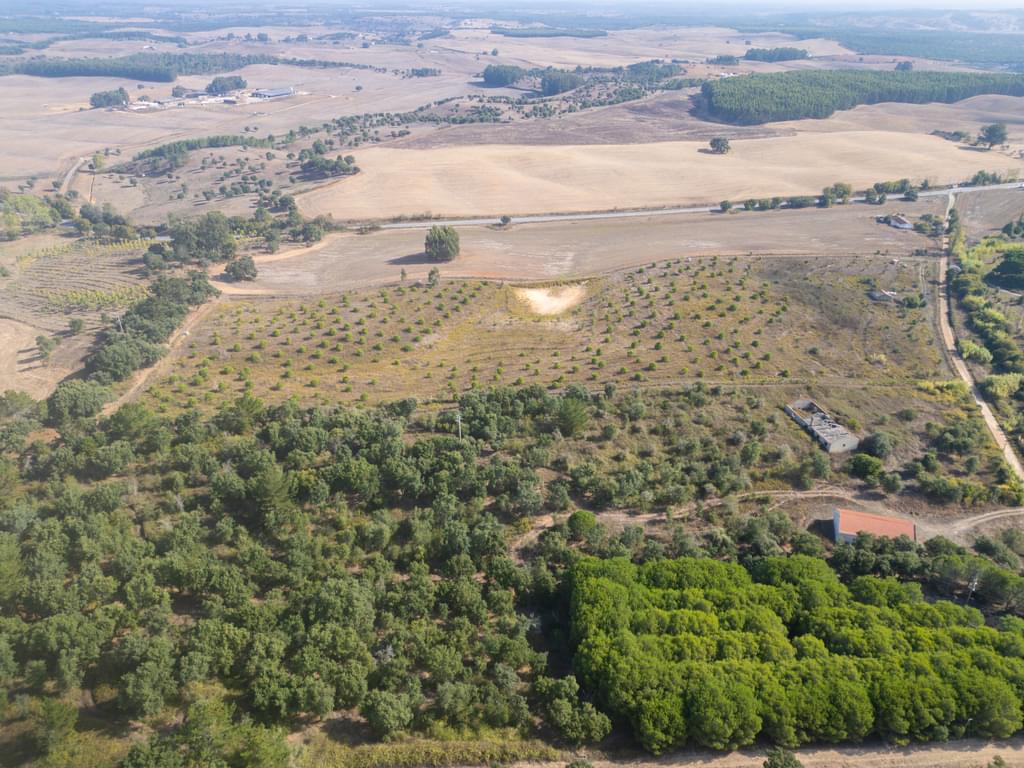Mixed land 5.2 ha, Cercal do Alentejo, Santiago do Cacem 2398631172