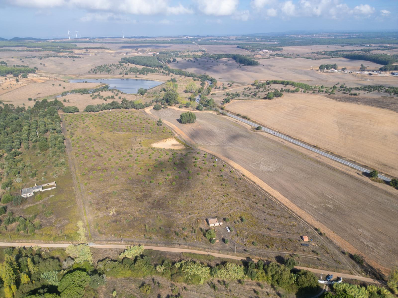 Terreno Misto 5.2 ha, Cercal do Alentejo, Santiago do Cacem - Imagem 7