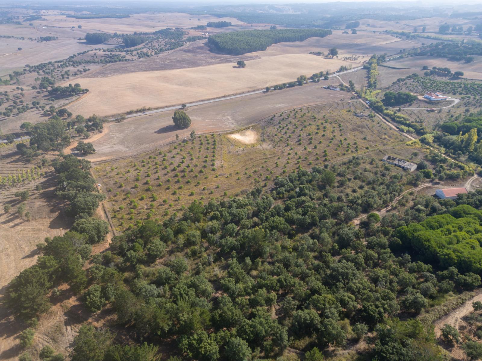 Terreno Misto 5.2 ha, Cercal do Alentejo, Santiago do Cacem - Imagem 62