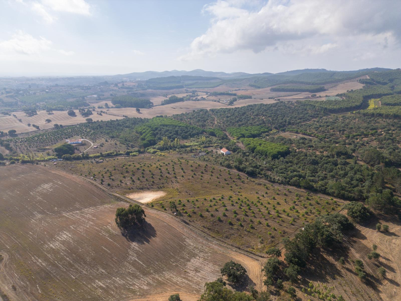Terreno Misto 5.2 ha, Cercal do Alentejo, Santiago do Cacem - Imagem 56