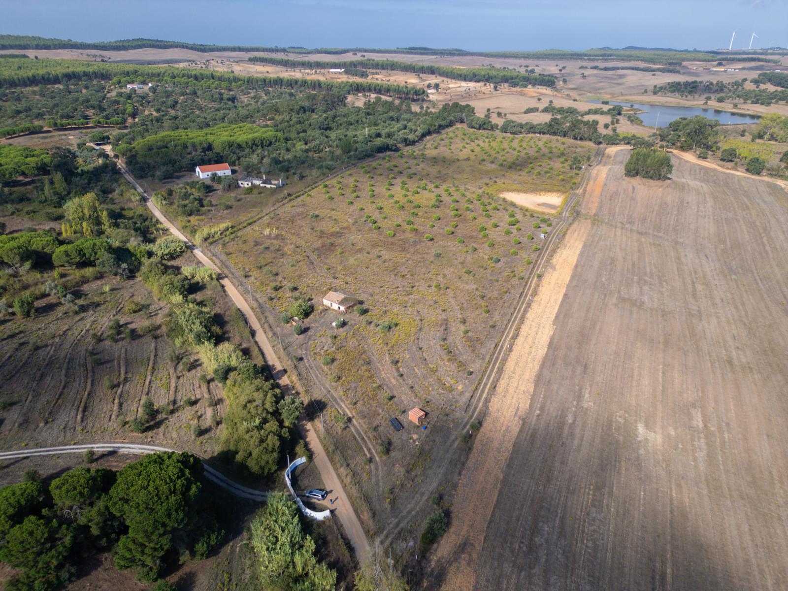 Terreno Misto 5.2 ha, Cercal do Alentejo, Santiago do Cacem - Imagem 53