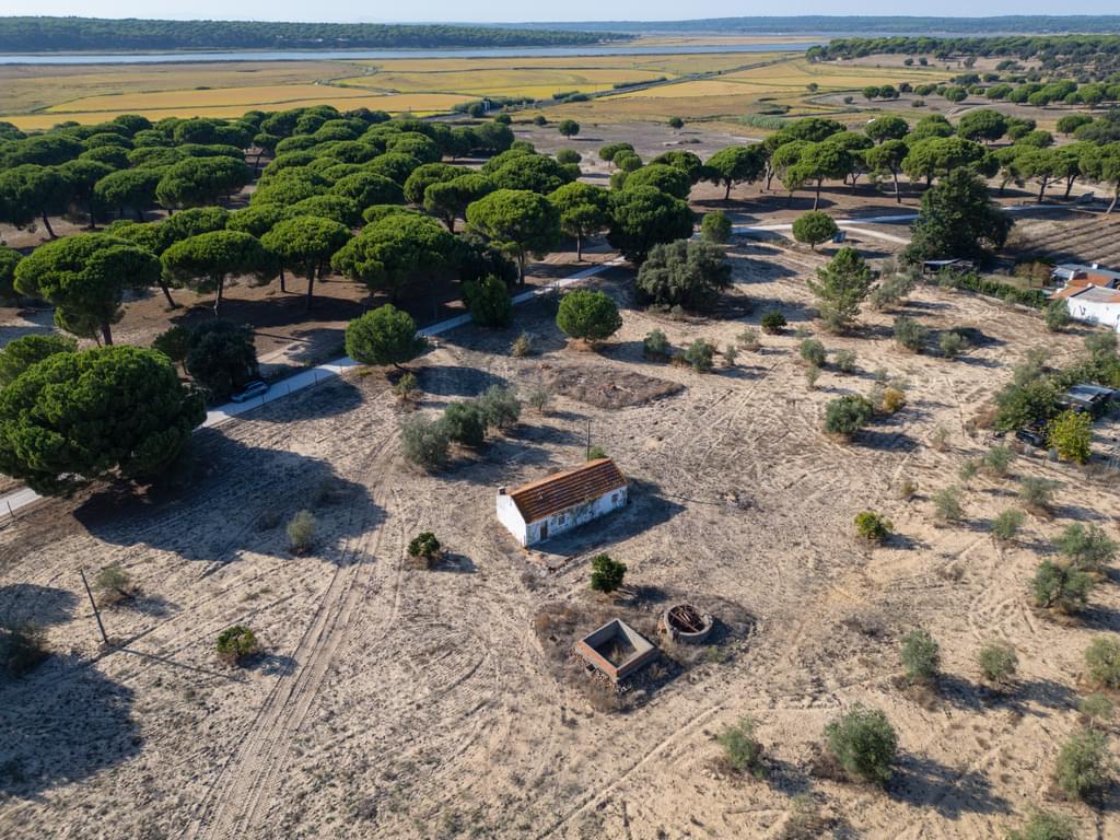 Mixed land 3.0 ha, Álcacer do Sal, Alcacer do Sal 2884239429