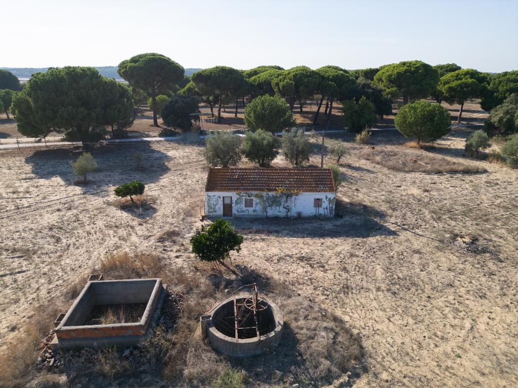 Mixed land 3.0 ha, Álcacer do Sal, Alcacer do Sal 2884239429