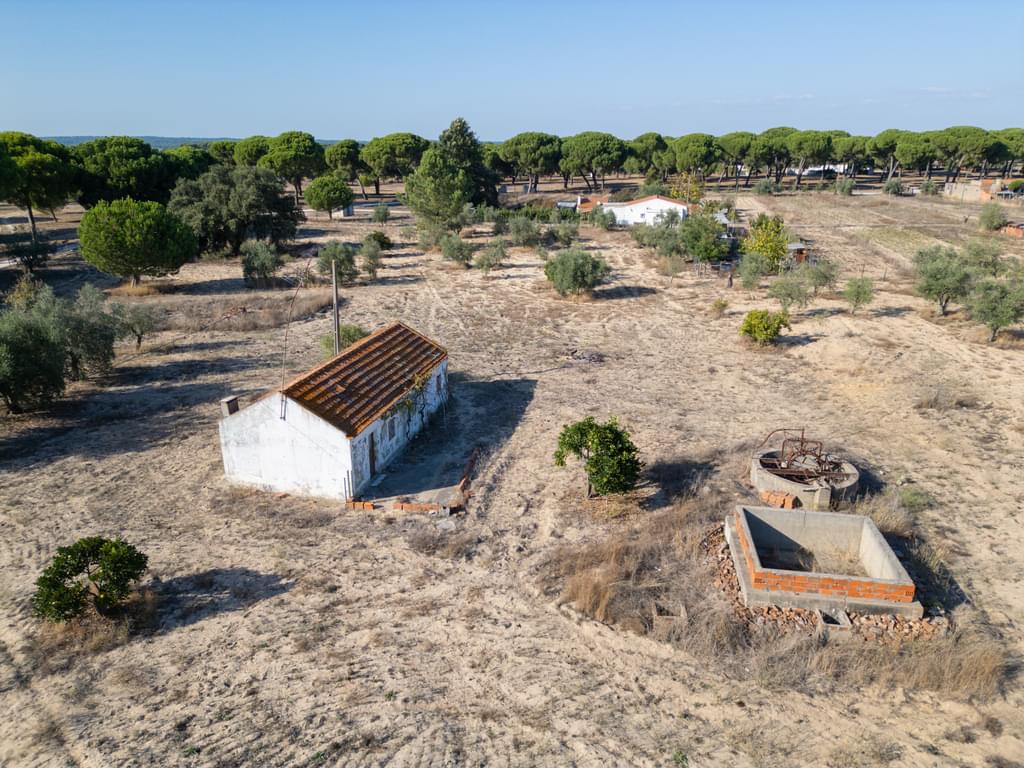 Mixed land 3.0 ha, Álcacer do Sal, Alcacer do Sal 2884239429