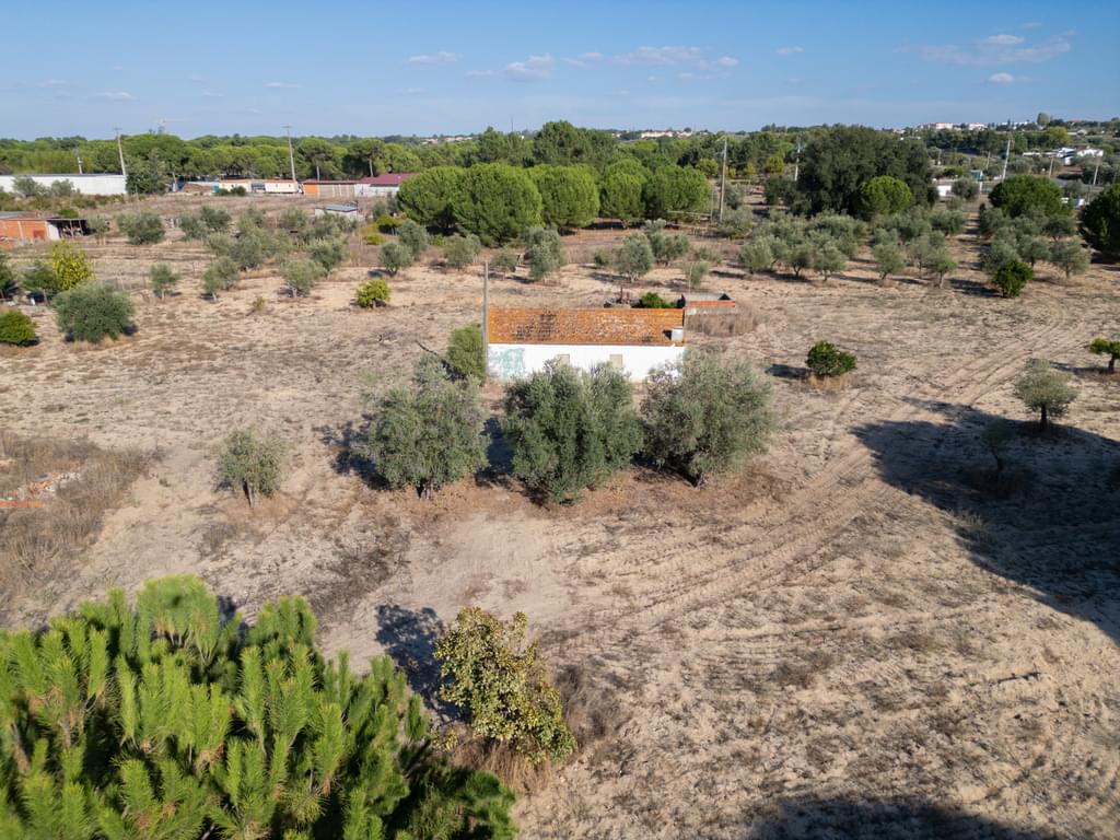 Mixed land 3.0 ha, Álcacer do Sal, Alcacer do Sal 2884239429