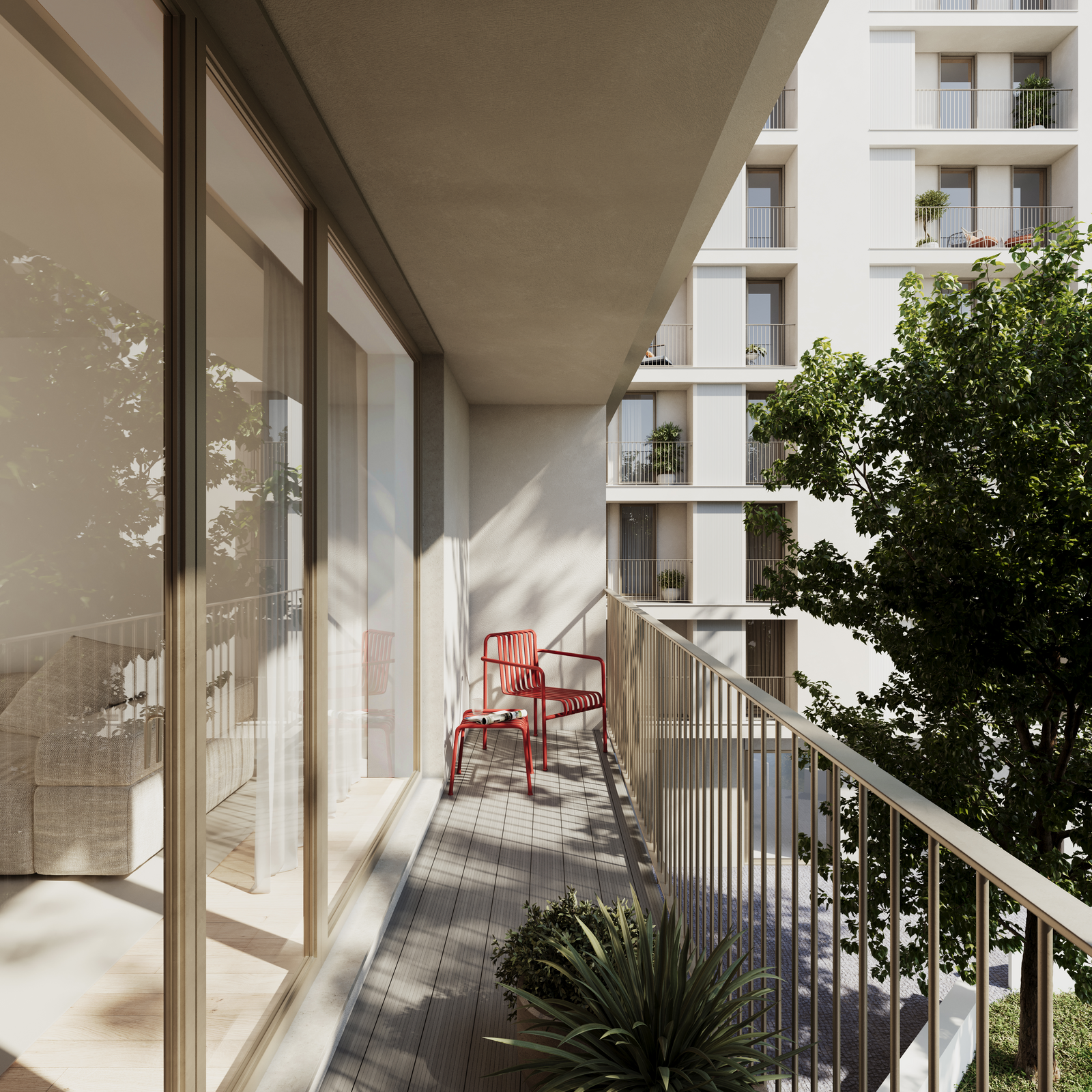 NoLiPa Bétula - Imagem 3