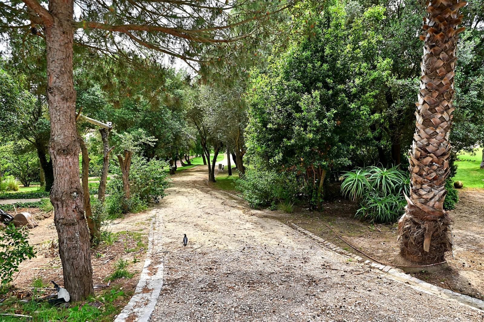 Apartamento T2 com vista, Paço de Arcos, Oeiras - Imagem 21