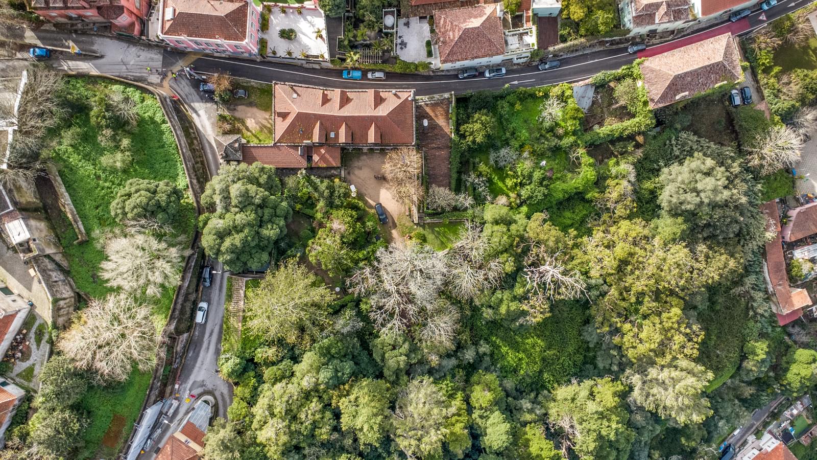 Quinta 1.9 ha, Sintra - Imagem 2