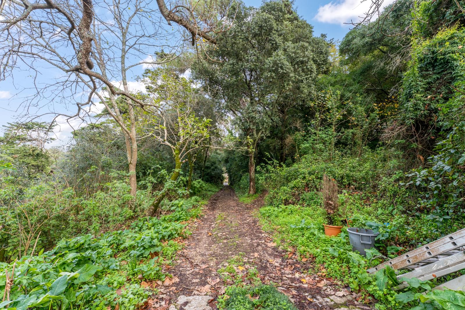 Quinta 1.9 ha, Sintra - Imagem 68