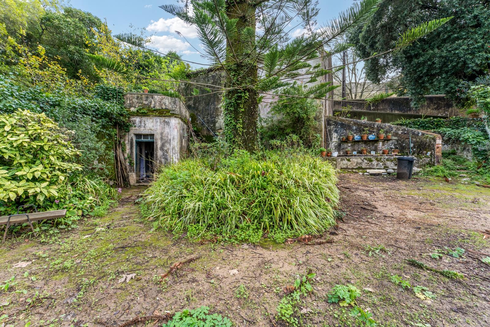 Quinta 1.9 ha, Sintra - Imagem 56