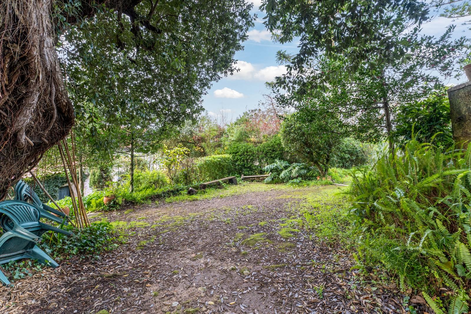 Quinta 1.9 ha, Sintra - Imagem 57