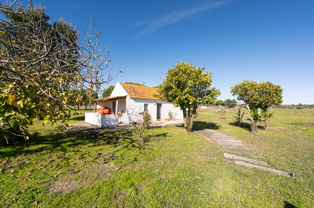 Mixed land 1.2 ha, Grandola 4017535431