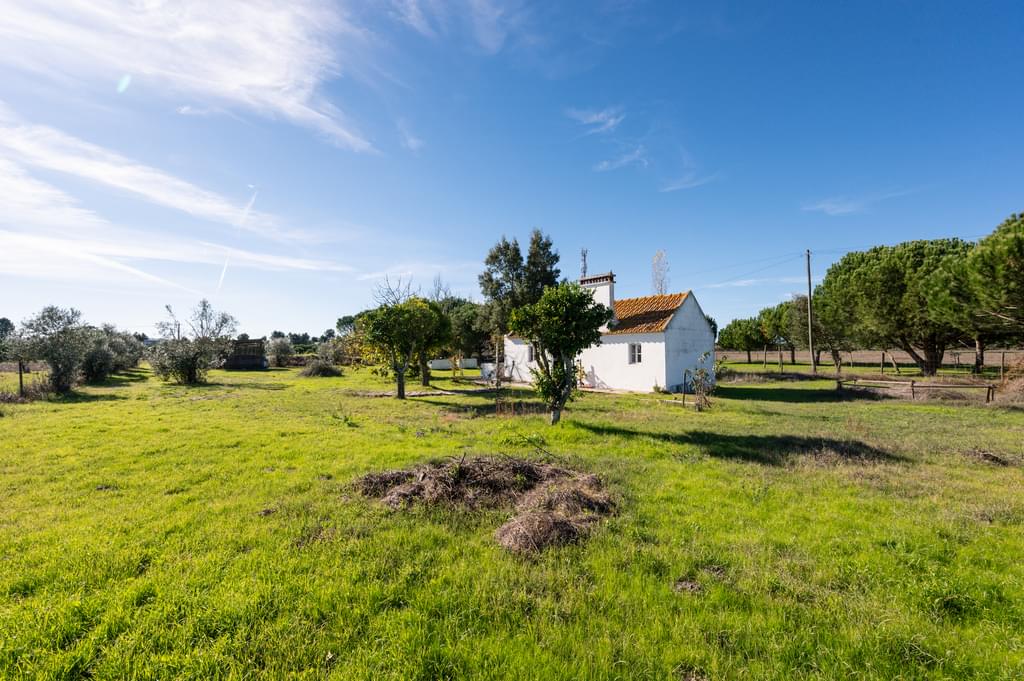 Mixed land 1.2 ha, Grandola 4017535431