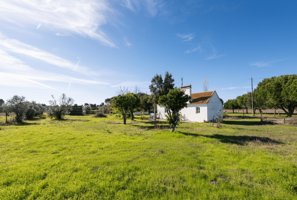 Mixed land 1.2 ha, Grandola 4017535431