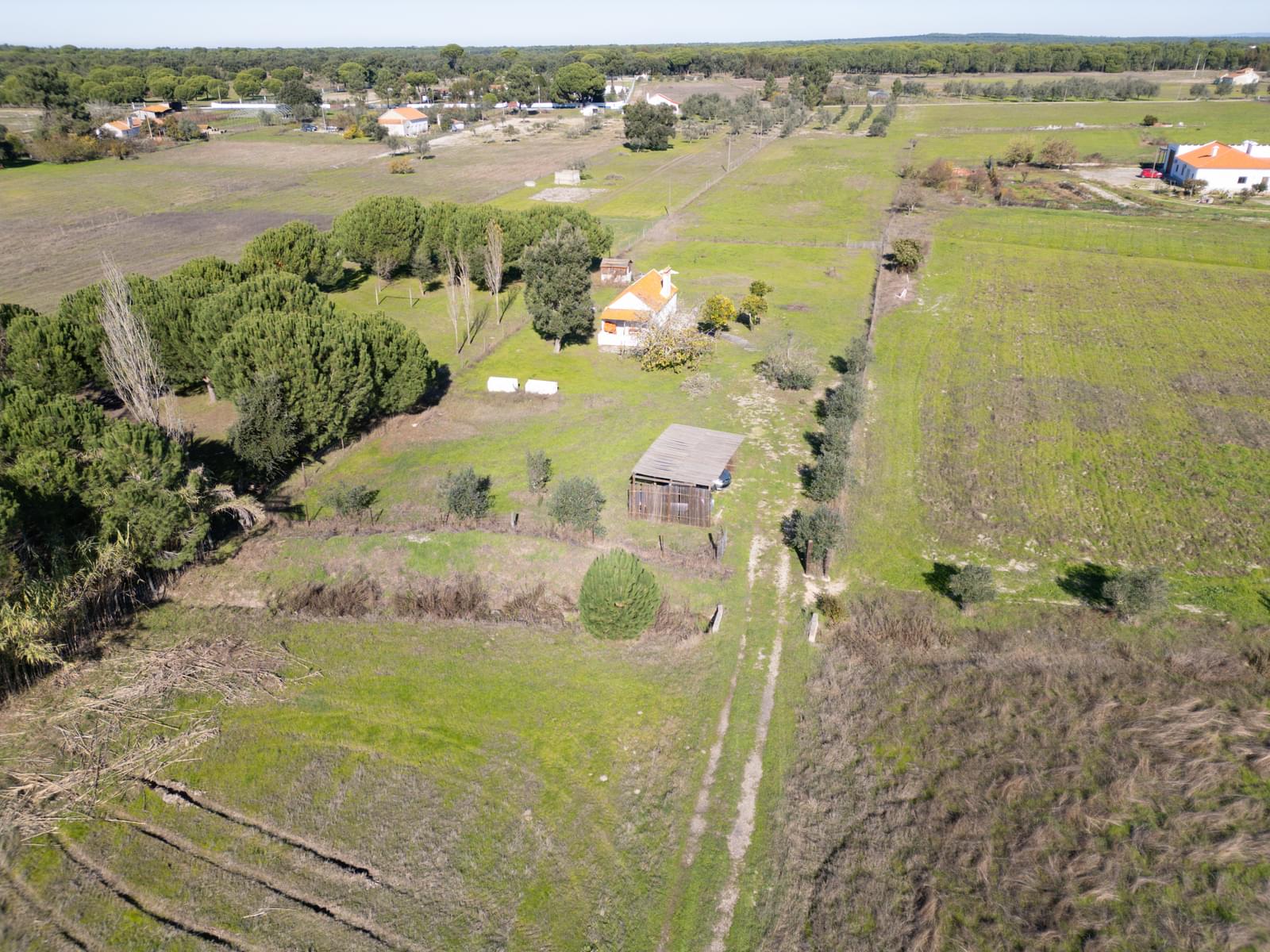 Mixed land 1.2 ha, Grandola - Image 10