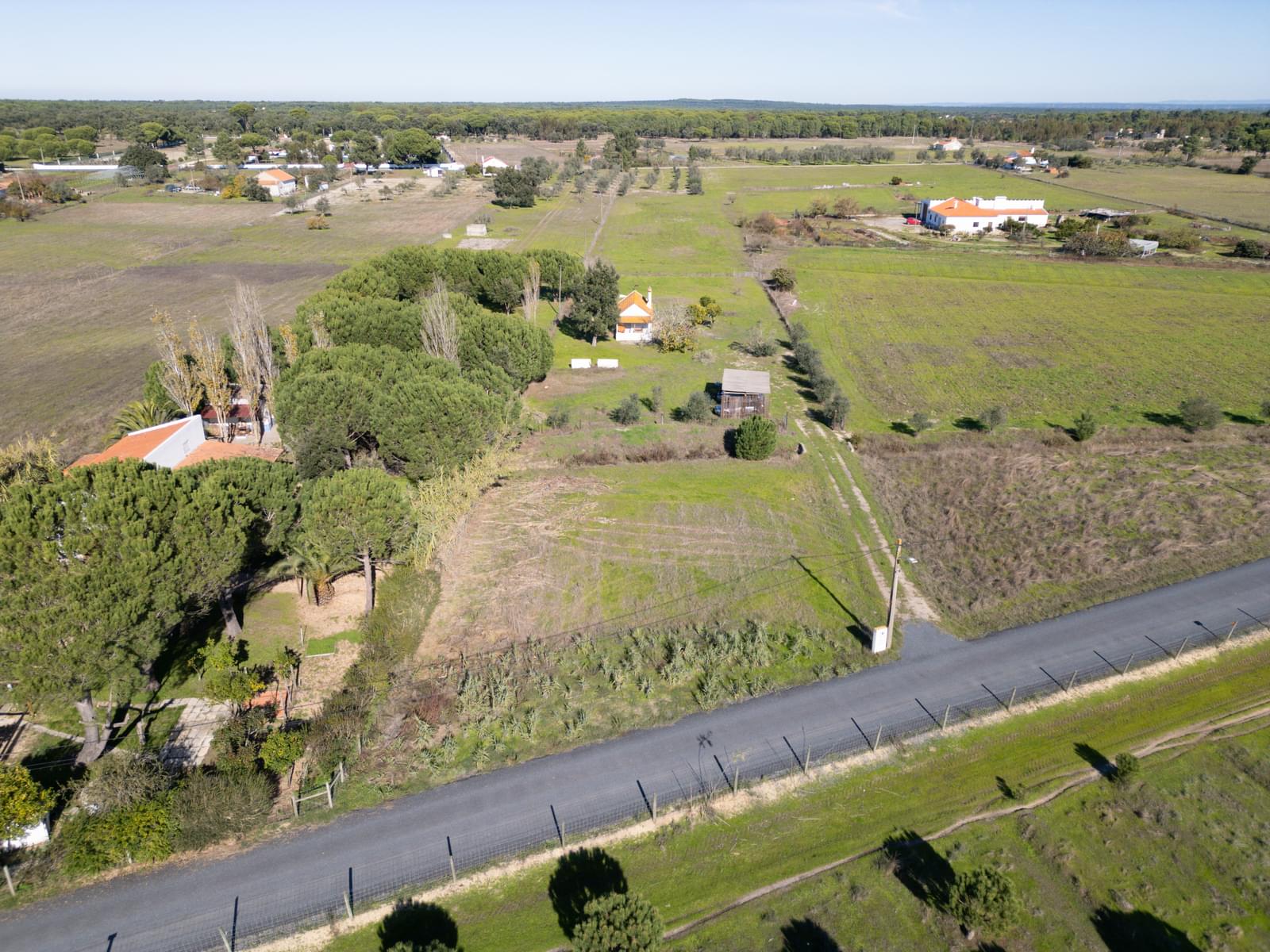 Mixed land 1.2 ha, Grandola - Image 12