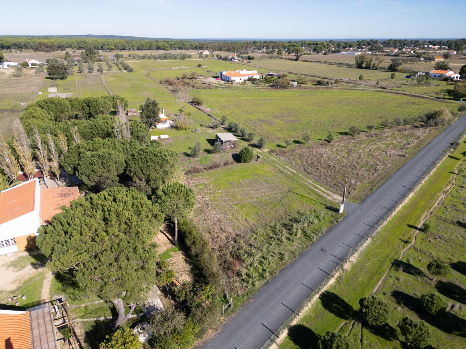 Mixed land 1.2 ha, Grandola - Image 11