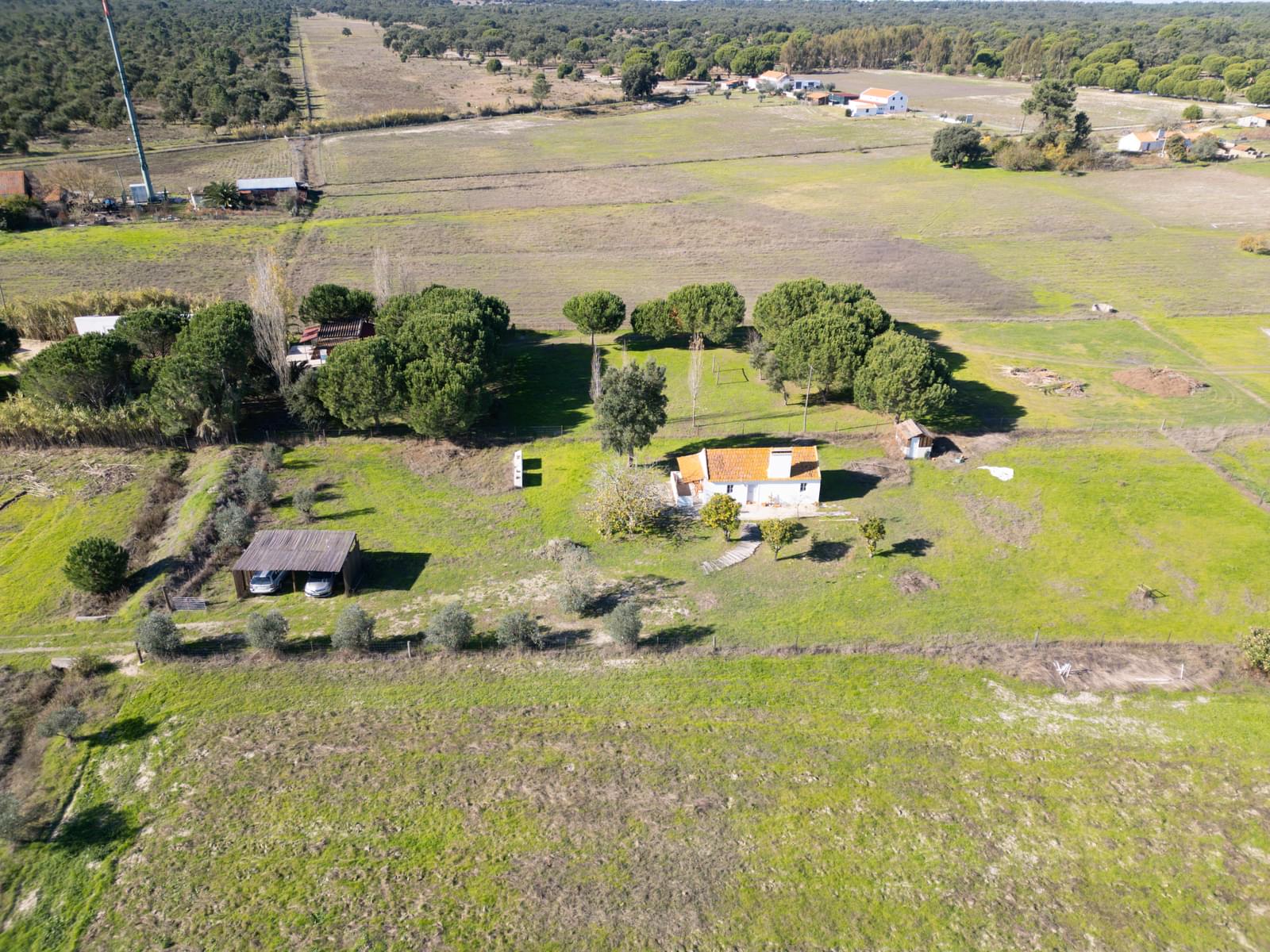Mixed land 1.2 ha, Grandola - Image 5