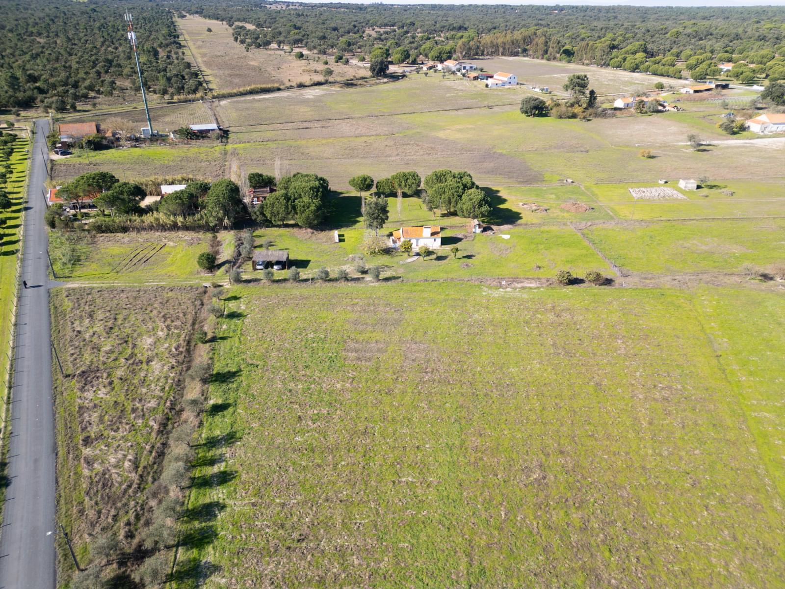 Mixed land 1.2 ha, Grandola - Image 15